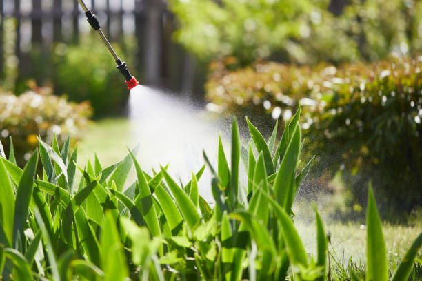 24/7 Emergency Rodent Control experts in Blue Ash, OH