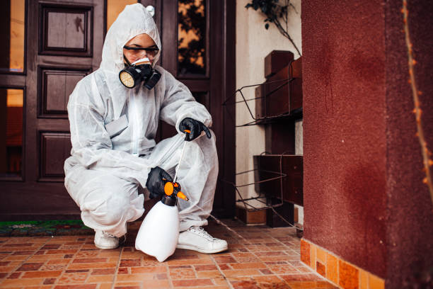 Reliable Rodent Control contractor in Blue Ash, OH by Nex Pest Control