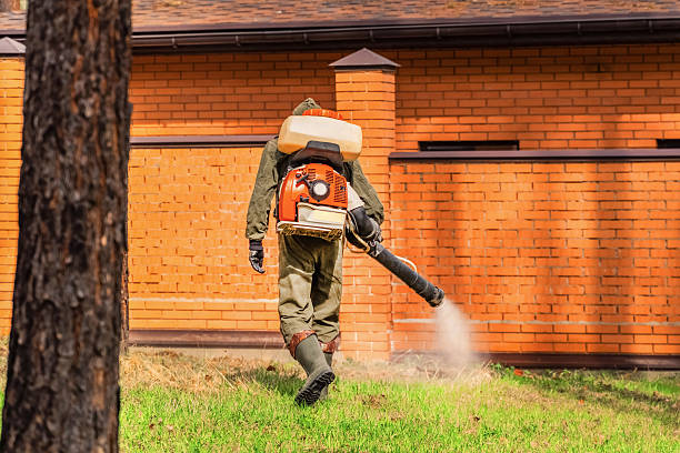 Trusted Ant Control service in Blue Ash, OH - Nex Pest Control